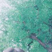 ヒメ日記 2025/10/11 20:06 投稿 おうか 西船人妻花壇