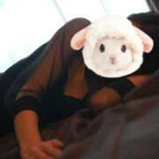 ヒメ日記 2025/10/18 08:06 投稿 おうか 西船人妻花壇