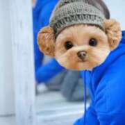 ヒメ日記 2025/11/08 08:06 投稿 おうか 西船人妻花壇