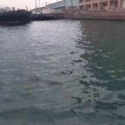 ヒメ日記 2025/11/08 17:37 投稿 おうか 西船人妻花壇