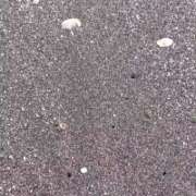 ヒメ日記 2025/11/08 23:08 投稿 おうか 西船人妻花壇