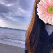 ヒメ日記 2025/11/09 06:08 投稿 おうか 西船人妻花壇