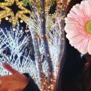 ヒメ日記 2025/11/09 08:06 投稿 おうか 西船人妻花壇