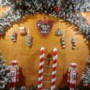 ヒメ日記 2025/11/09 09:33 投稿 おうか 西船人妻花壇