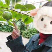 ヒメ日記 2025/11/09 16:10 投稿 おうか 西船人妻花壇