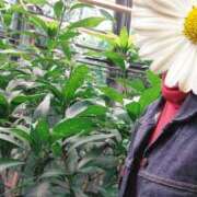 ヒメ日記 2025/11/09 17:31 投稿 おうか 西船人妻花壇