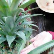 ヒメ日記 2025/11/09 18:36 投稿 おうか 西船人妻花壇