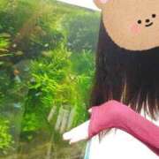 ヒメ日記 2025/11/09 19:06 投稿 おうか 西船人妻花壇