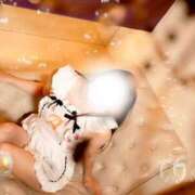 ヒメ日記 2025/11/12 11:14 投稿 おうか 西船人妻花壇