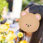 ヒメ日記 2025/11/20 08:03 投稿 おうか 西船人妻花壇