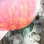 ヒメ日記 2025/12/08 22:05 投稿 おうか 西船人妻花壇