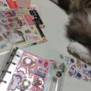 ヒメ日記 2025/12/19 08:37 投稿 おうか 西船人妻花壇