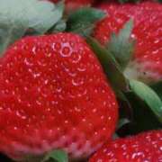 ヒメ日記 2025/12/21 09:34 投稿 おうか 西船人妻花壇