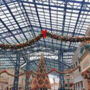 ヒメ日記 2025/12/25 15:44 投稿 おうか 西船人妻花壇