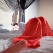 ヒメ日記 2025/12/28 07:09 投稿 おうか 西船人妻花壇