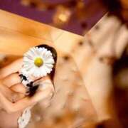 ヒメ日記 2026/01/09 22:11 投稿 おうか 西船人妻花壇