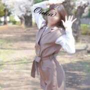 ヒメ日記 2026/01/13 22:11 投稿 おうか 西船人妻花壇