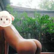 ヒメ日記 2026/01/25 08:35 投稿 おうか 西船人妻花壇