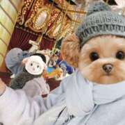 ヒメ日記 2026/01/25 21:14 投稿 おうか 西船人妻花壇