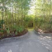 ヒメ日記 2026/01/31 11:02 投稿 おうか 西船人妻花壇