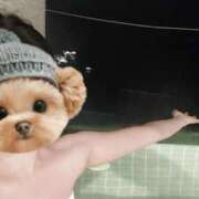 ヒメ日記 2026/02/01 06:02 投稿 おうか 西船人妻花壇