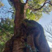 ヒメ日記 2026/02/02 07:05 投稿 おうか 西船人妻花壇