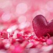 ヒメ日記 2026/02/05 19:10 投稿 おうか 西船人妻花壇