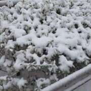 ヒメ日記 2026/02/08 16:21 投稿 おうか 西船人妻花壇