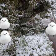 ヒメ日記 2026/02/09 08:36 投稿 おうか 西船人妻花壇