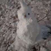 ヒメ日記 2026/02/09 09:36 投稿 おうか 西船人妻花壇