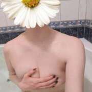 ヒメ日記 2026/02/09 18:41 投稿 おうか 西船人妻花壇