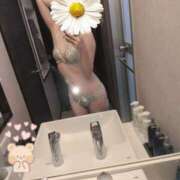 ヒメ日記 2026/02/13 11:03 投稿 おうか 西船人妻花壇