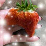 ヒメ日記 2026/02/13 21:15 投稿 おうか 西船人妻花壇