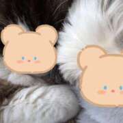 ヒメ日記 2026/02/18 05:06 投稿 おうか 西船人妻花壇