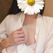 ヒメ日記 2026/02/26 07:21 投稿 おうか 西船人妻花壇