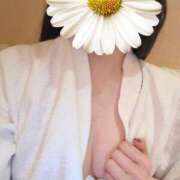 おうか 💖ひな祭り満喫🎎💖 西船人妻花壇