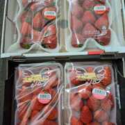 ヒメ日記 2026/03/05 21:09 投稿 おうか 西船人妻花壇