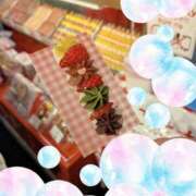 ヒメ日記 2026/03/21 09:16 投稿 おうか 西船人妻花壇