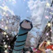 ヒメ日記 2026/03/28 23:11 投稿 おうか 西船人妻花壇