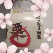 ヒメ日記 2026/03/29 15:08 投稿 おうか 西船人妻花壇