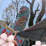 ヒメ日記 2026/03/29 19:08 投稿 おうか 西船人妻花壇