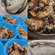 ヒメ日記 2026/03/30 12:16 投稿 おうか 西船人妻花壇