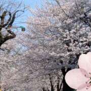 ヒメ日記 2026/03/30 21:08 投稿 おうか 西船人妻花壇