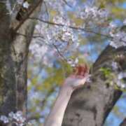 ヒメ日記 2026/04/01 07:11 投稿 おうか 西船人妻花壇