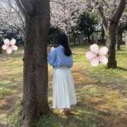 ヒメ日記 2026/04/06 08:11 投稿 おうか 西船人妻花壇