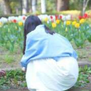 ヒメ日記 2026/04/06 15:19 投稿 おうか 西船人妻花壇