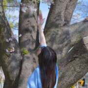 ヒメ日記 2026/04/07 21:35 投稿 おうか 西船人妻花壇