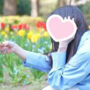 ヒメ日記 2026/04/08 09:04 投稿 おうか 西船人妻花壇