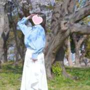 ヒメ日記 2026/04/08 12:45 投稿 おうか 西船人妻花壇