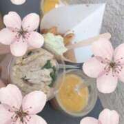 ヒメ日記 2026/04/11 08:37 投稿 おうか 西船人妻花壇